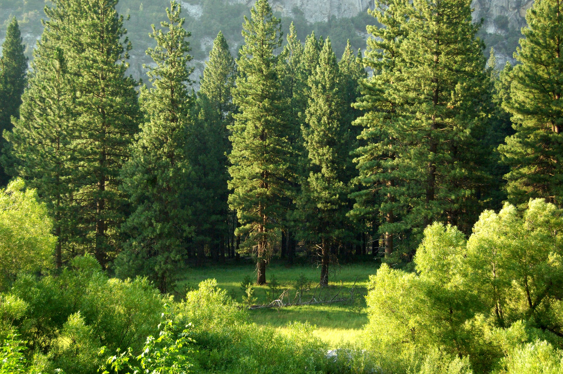 Resource image