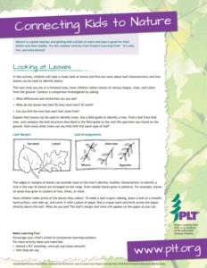 Screenshot of PLT's Looking at leaves family activity