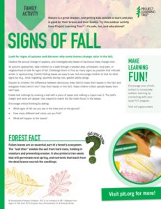 Signs of fall family activity