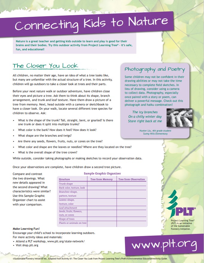 Screenshot of PLT's The closer you look family activity