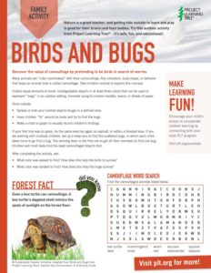 Screenshot of PLT's Birds and Bugs family activity