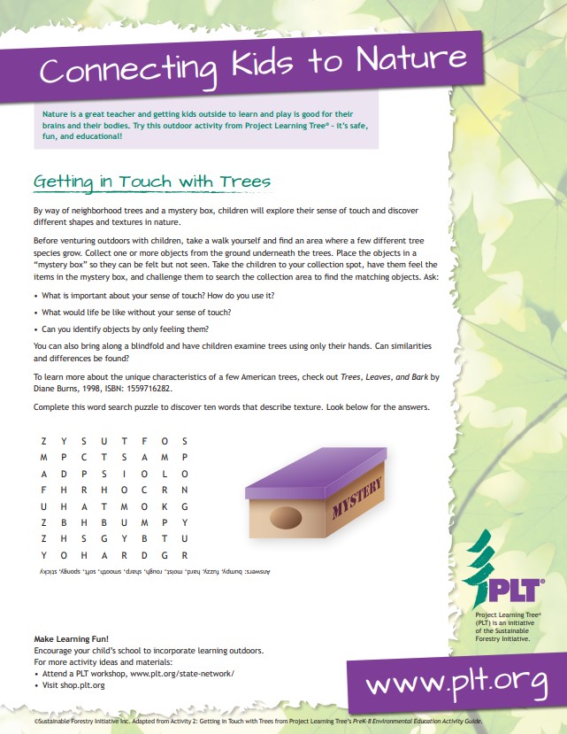 Screenshot of PLT's Getting in touch with trees family activity