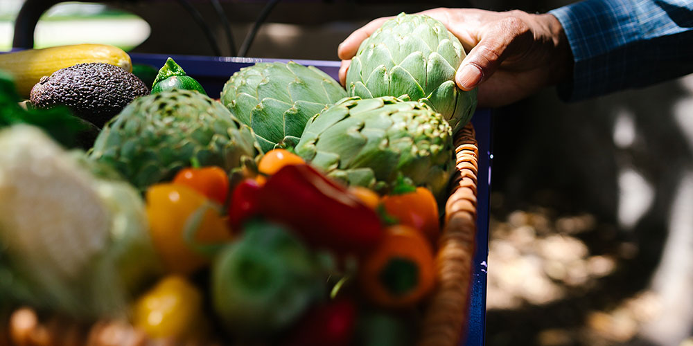 hand grasping a vegetable
