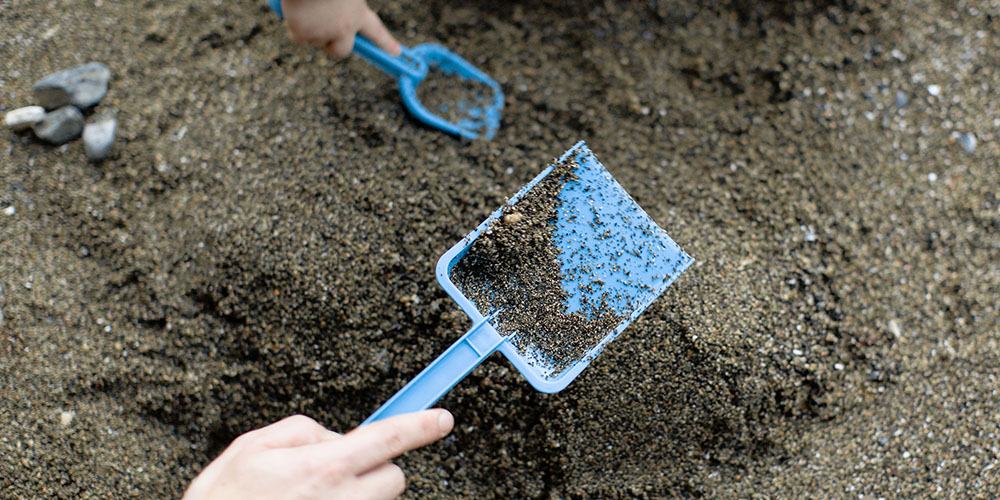 hands digging in soil
