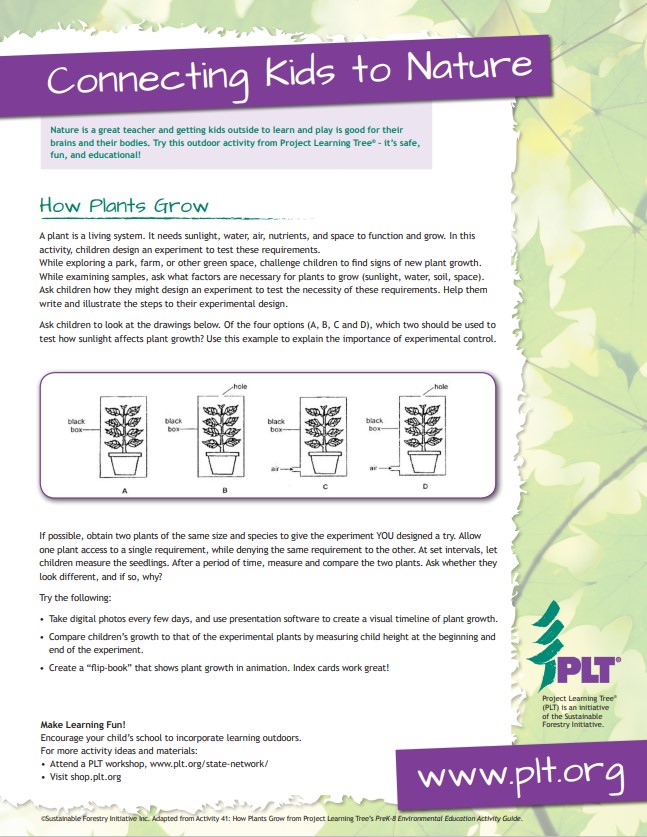 Screenshot of PLT's how plants grow family activity