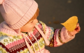 a young girl looking at a leaf
