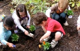 children digging dirt