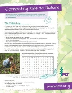 the fallen log family activity