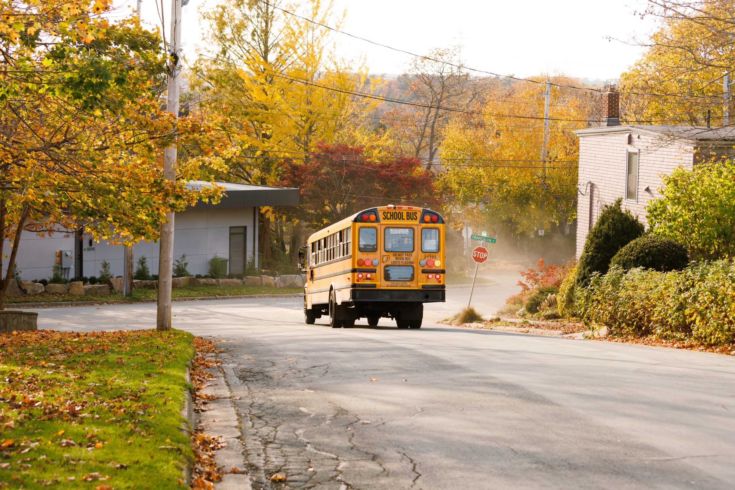 School bus