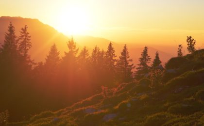 Sunrise over forest