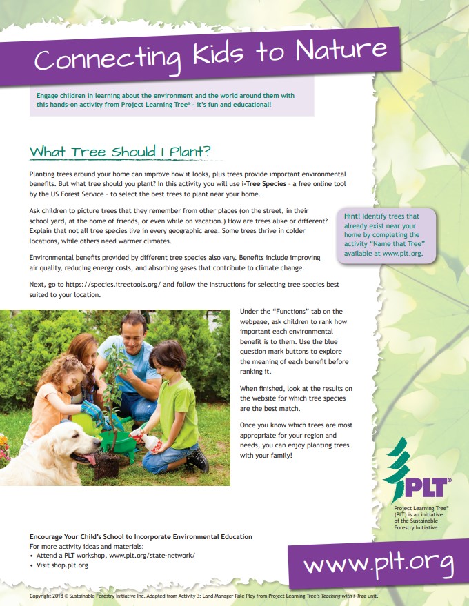 What tree should I plant family activity