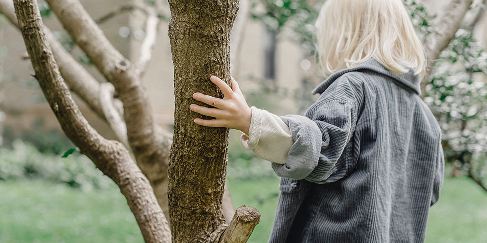 child examines a tree
