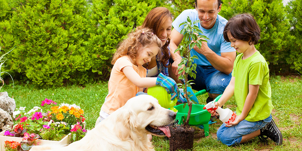 family planting a tree in the backyard