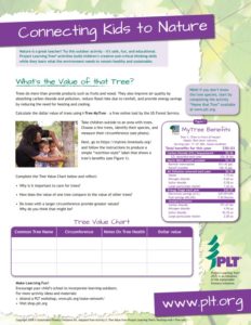 what's the value of that tree family activity
