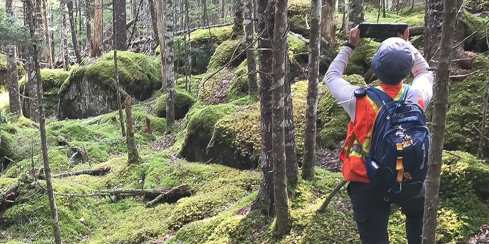 a worker with a high visibility vest and a backpack operates a tablet alongside forestry tools in the middle of a forest.