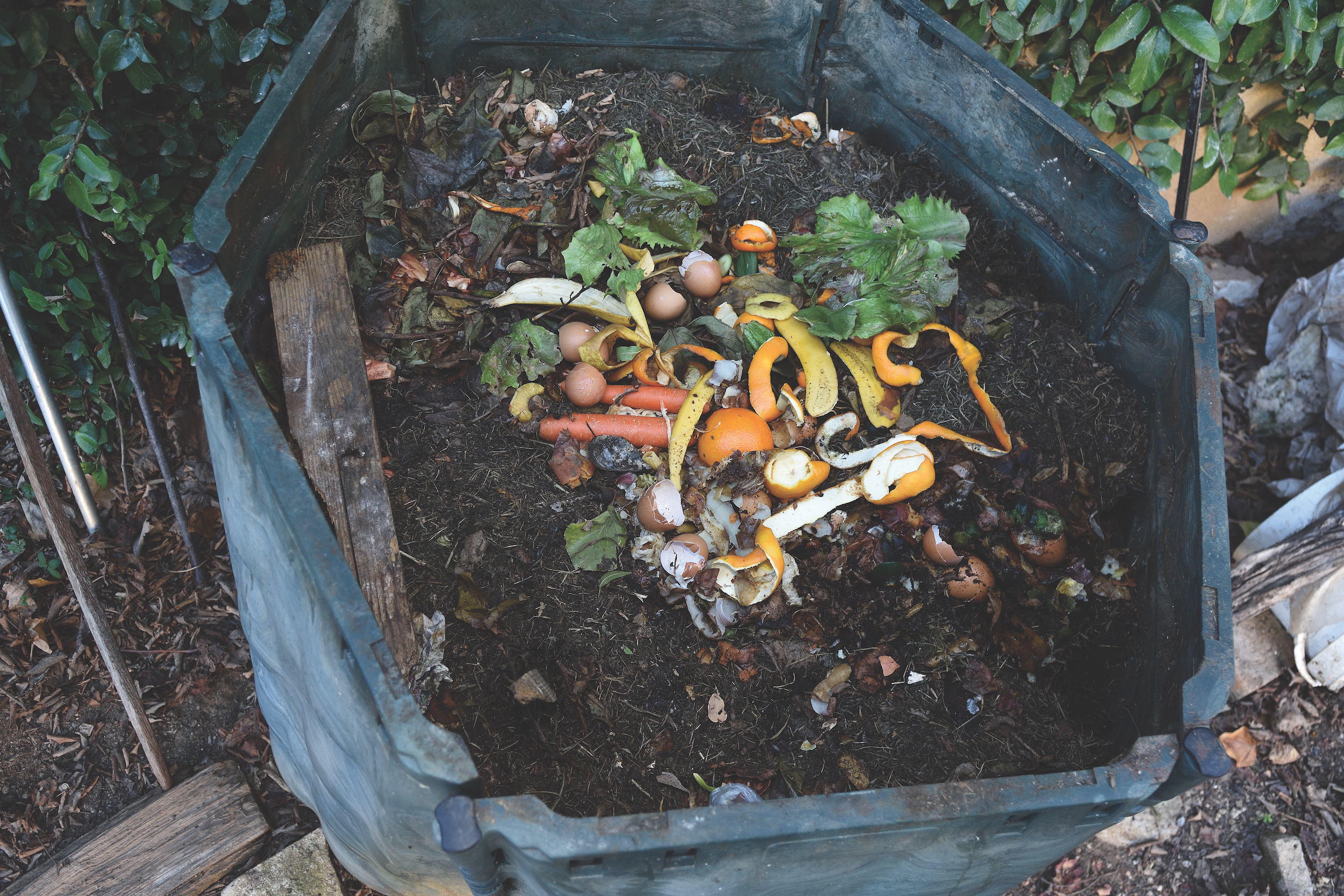 inside of a composting container