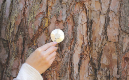 hand woman listens to a tree with a stethoscope in the forest, concept love the environment. copy space. selective focus.