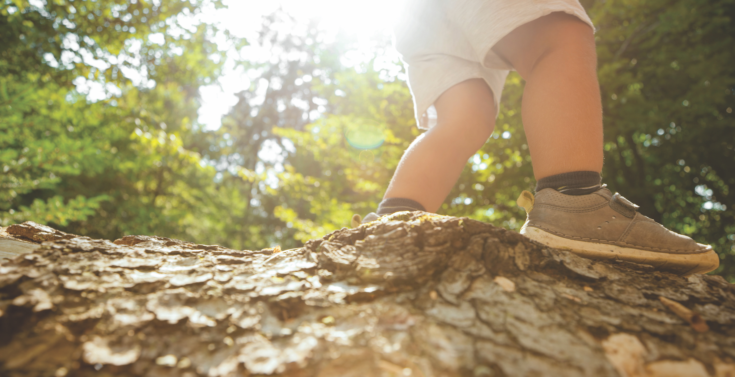 Low section of boy walking on fallen tree in forest.