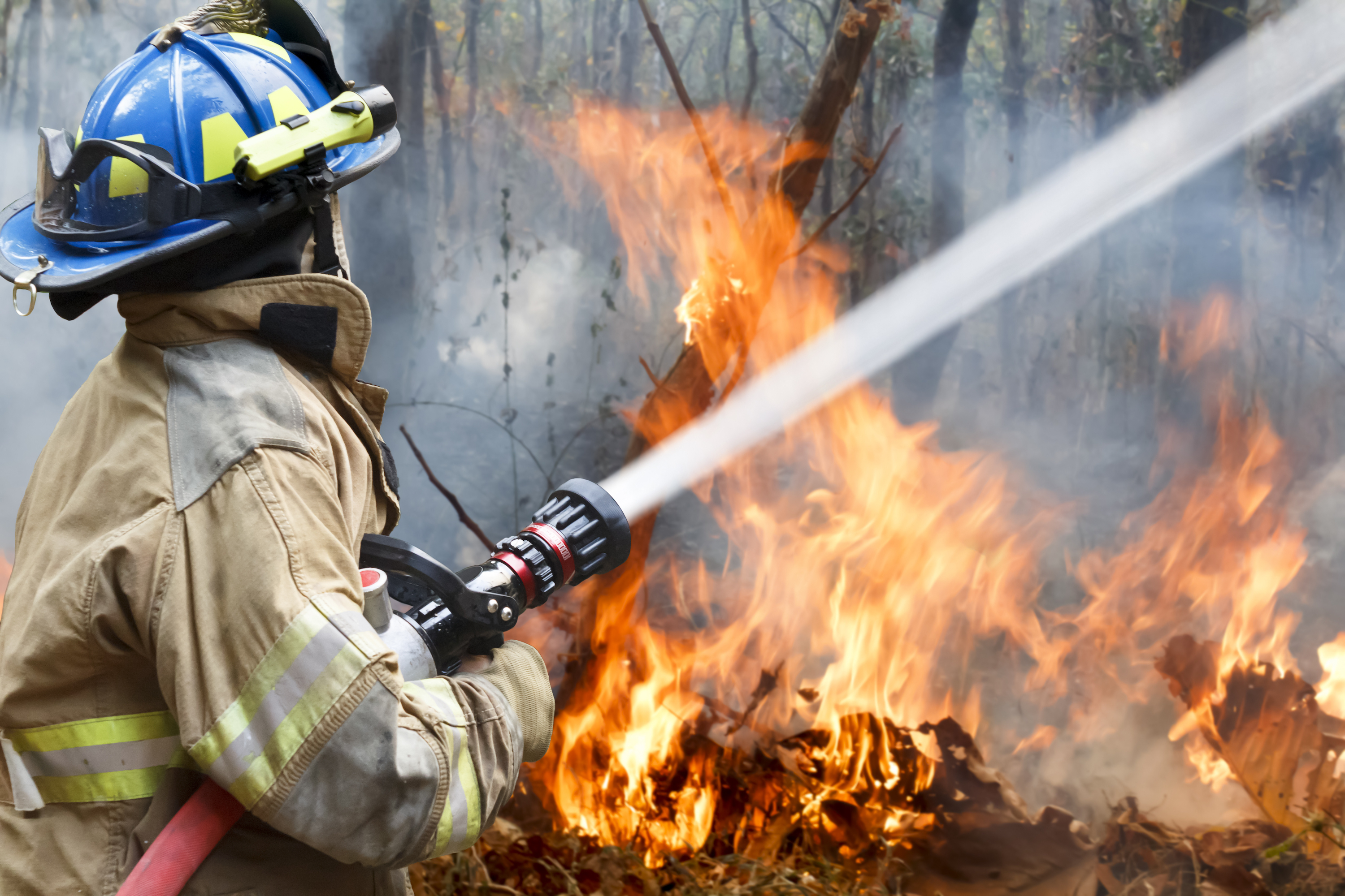 firefighters helped battle a wildfire