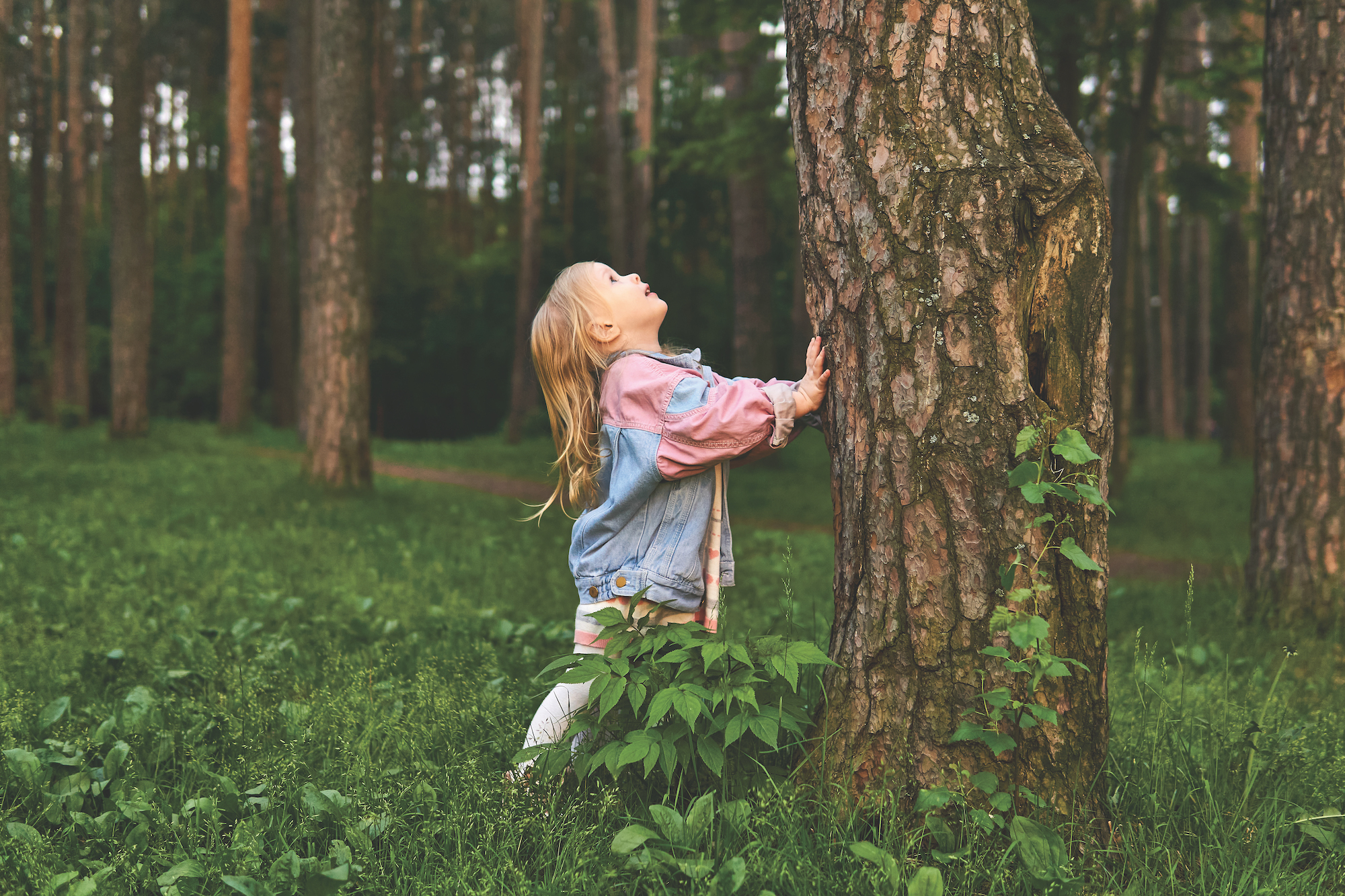 happy little girl girl looking up along a tree trunk seeing a bird or squirrel