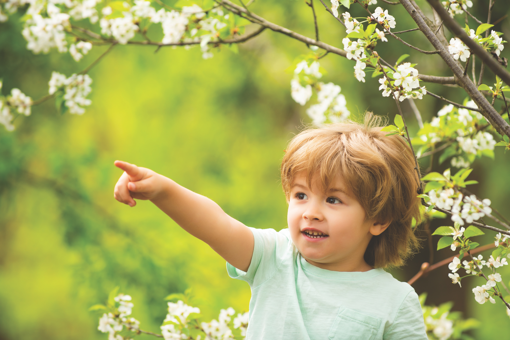 Child in nature. The boy points a finger at something on the tree. Spring park and cute kid. Green background and boy