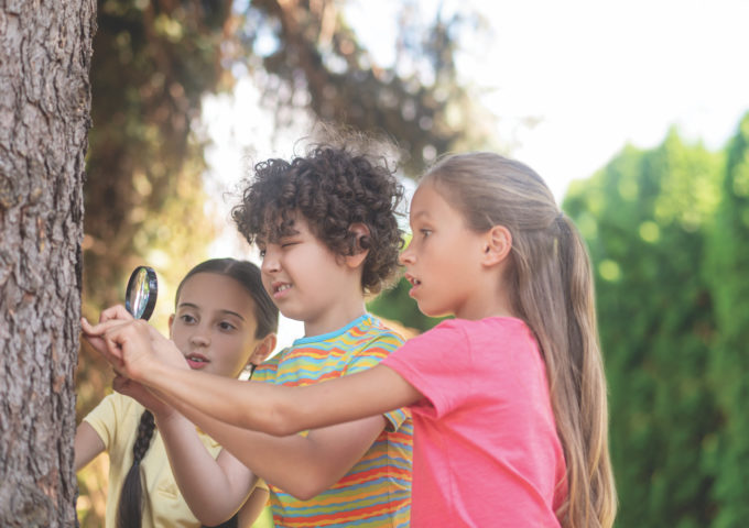 Discovery. Attentive curly-haired boy with magnifying glass looking intently at tree trunk and two surprised girls