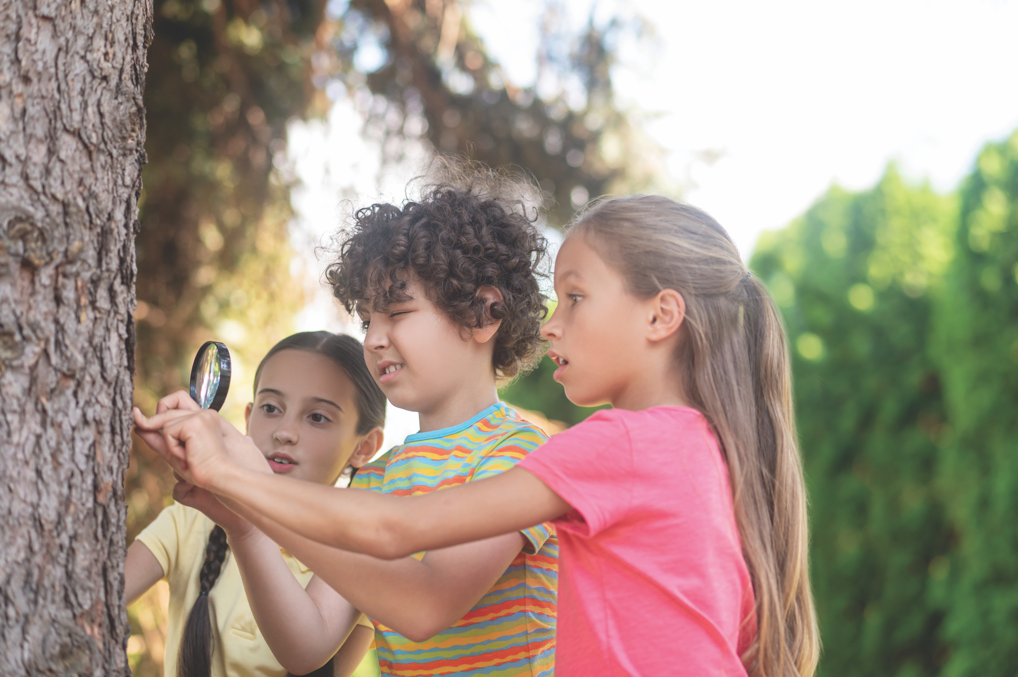Discovery. Attentive curly-haired boy with magnifying glass looking intently at tree trunk and two surprised girls