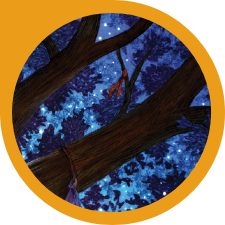 Wishtree book cover