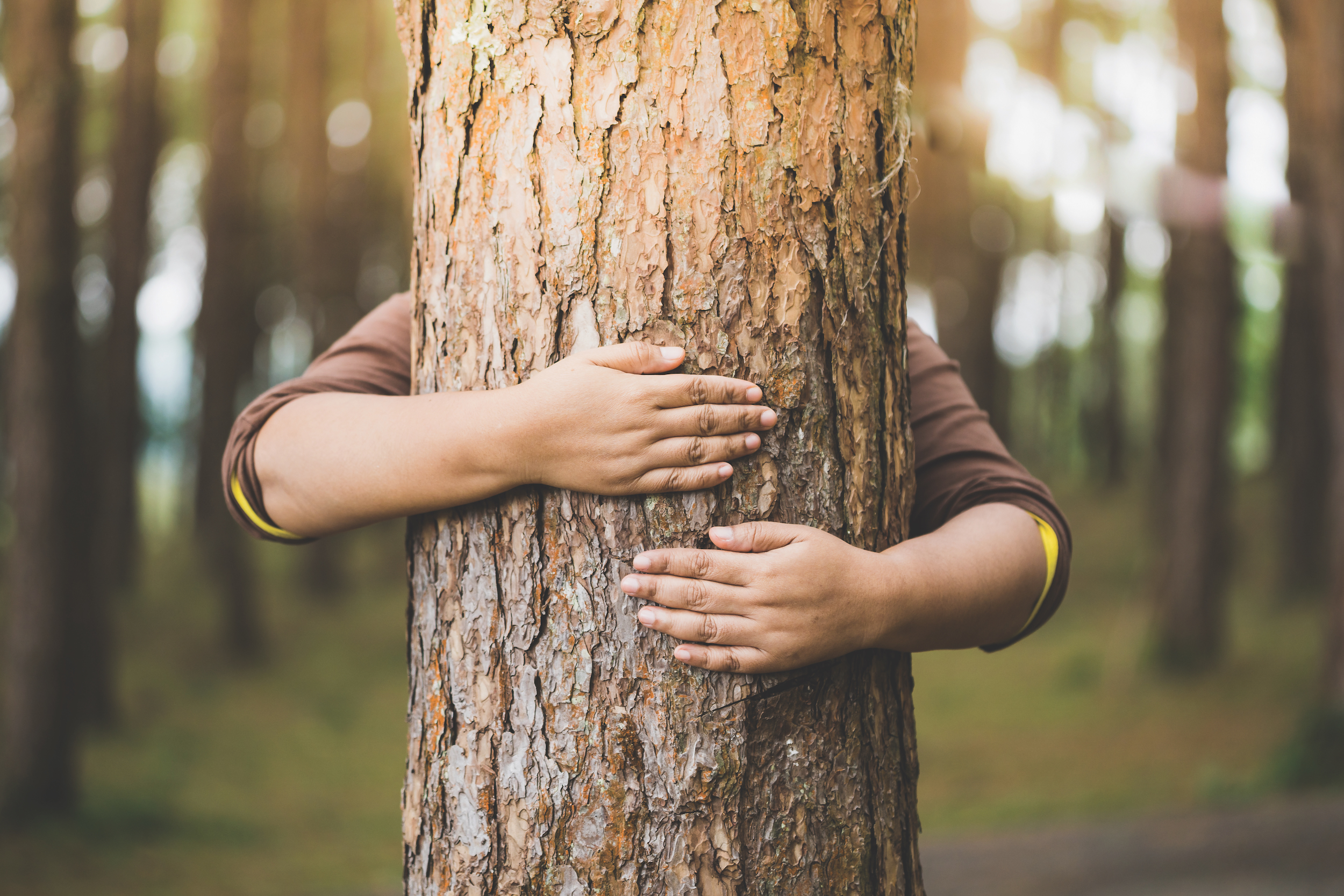 Woman hug the tree with love