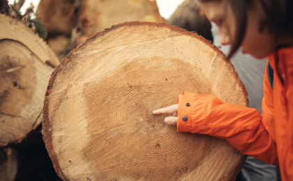 Young girl points to the center of a tree cross section also known as a tree cookie