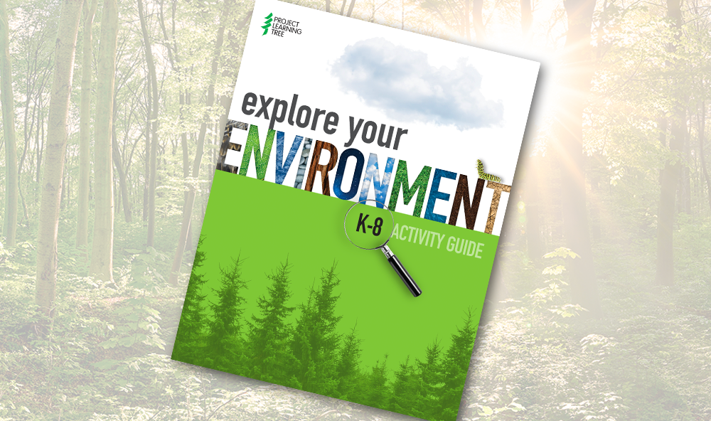 Decorative image with the K-8 Guide cover over a forested background.