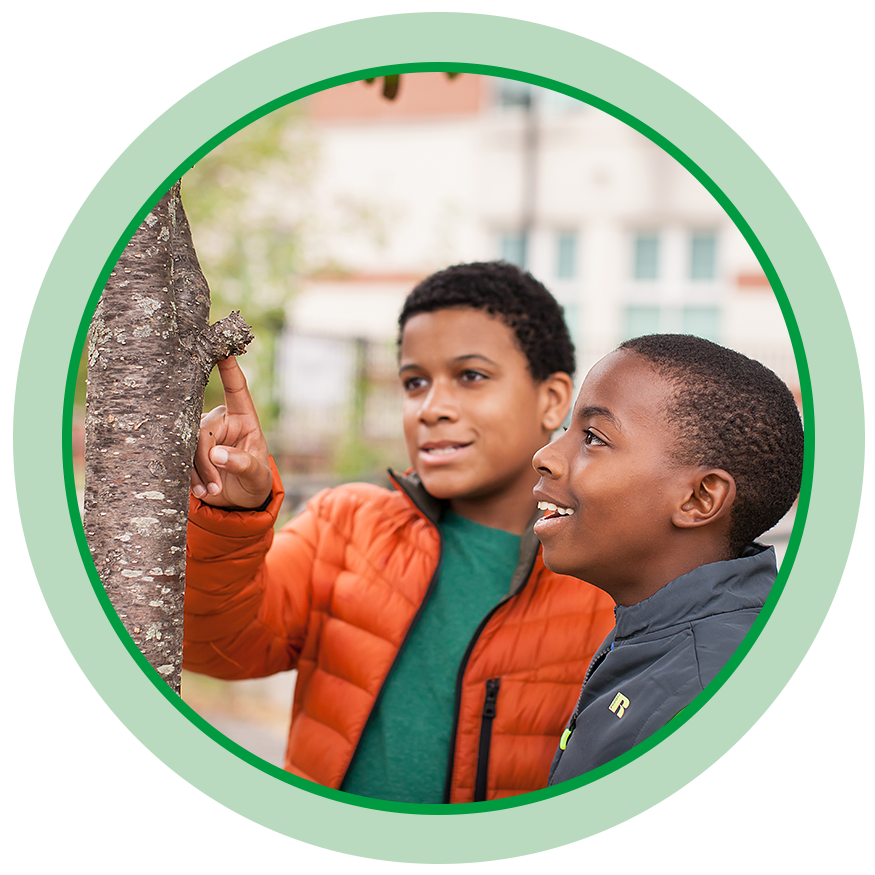 Image- Kids looking at tree
