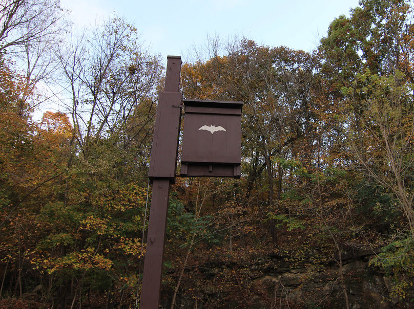 dark brown wooden bat house on a pole outside
