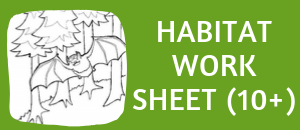 free bat habitat worksheet for ages 10 and up