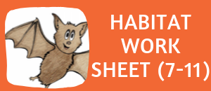 download the free bat habitat worksheet for ages 7-11