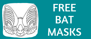 download free printable bat masks