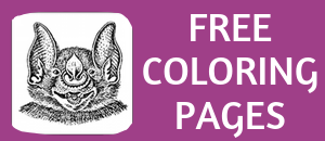 printable free coloring pages of bats