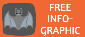 free bats as pollinators infographic 