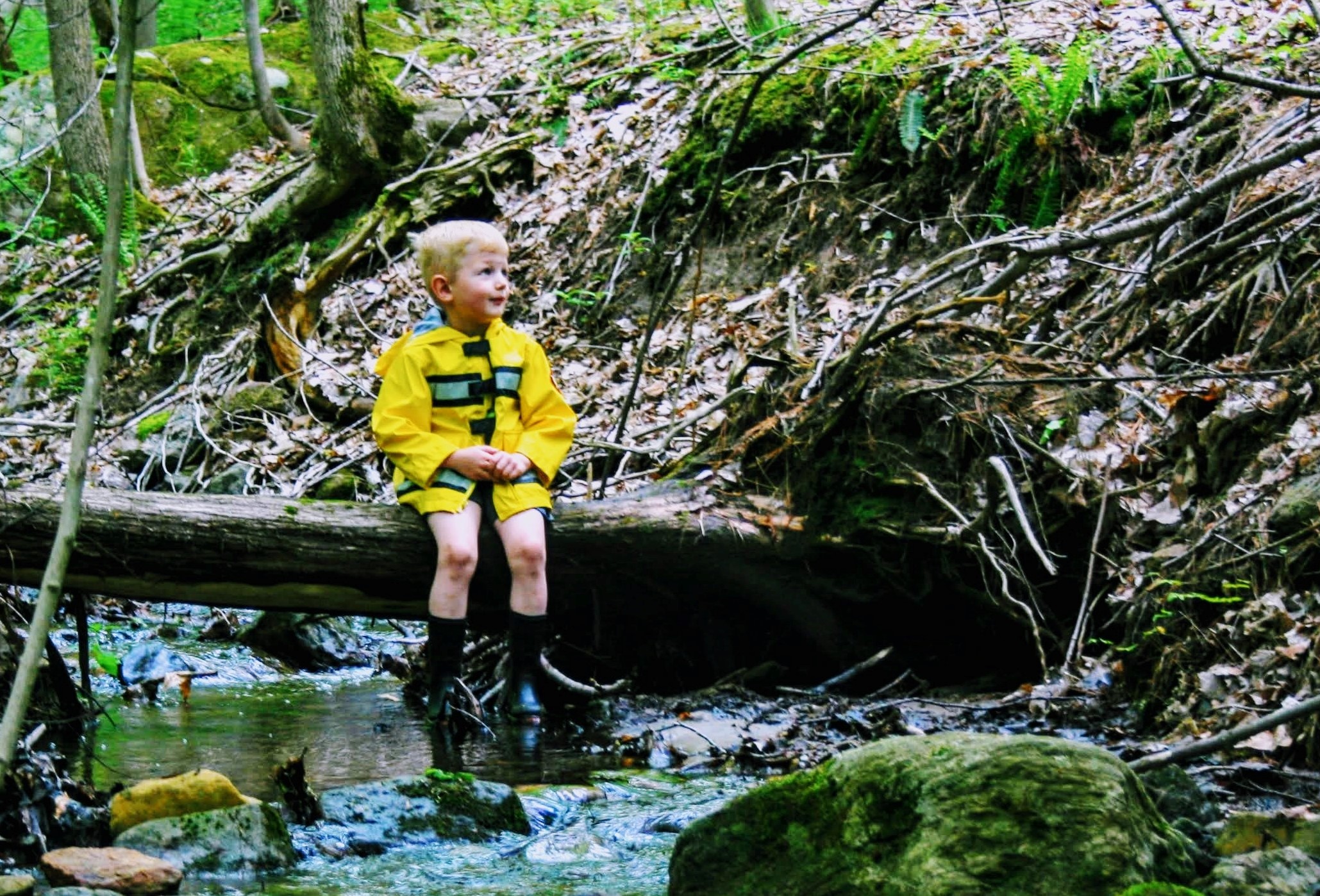 child sitting on a log over a creek