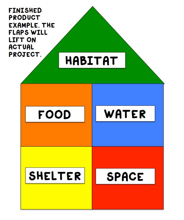 habitat spy house template