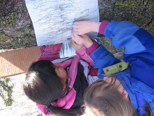 kids-make-bark-rubbing
