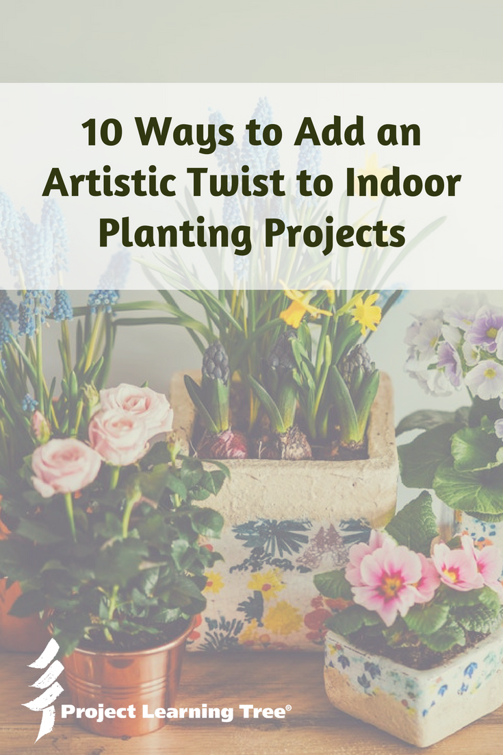 10 ways to add an artistic twist to indoor planting projects