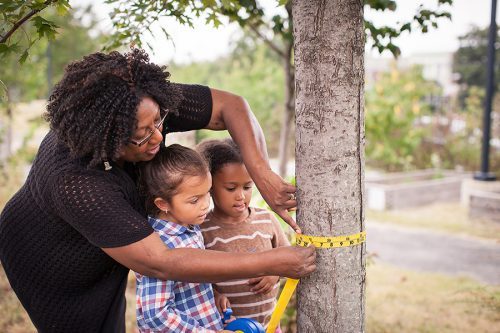 teacher measure the circumference of a tree with students