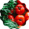 tomatoes and herbs