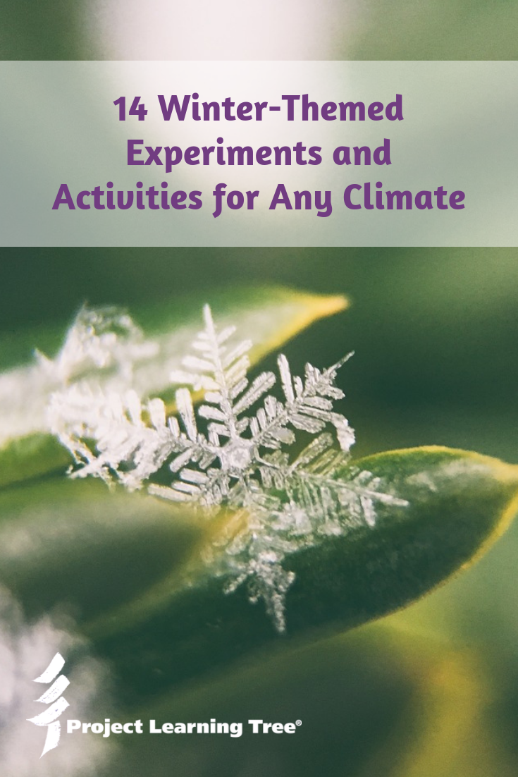14 winter-themed experiments and activities for any climate