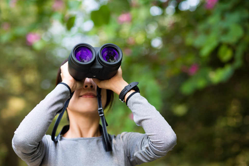 Young girl looking though binocular in jungle