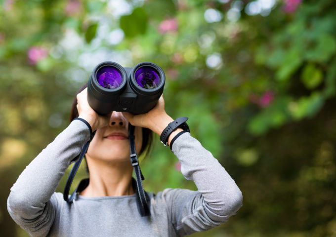 Young girl looking though binocular in jungle