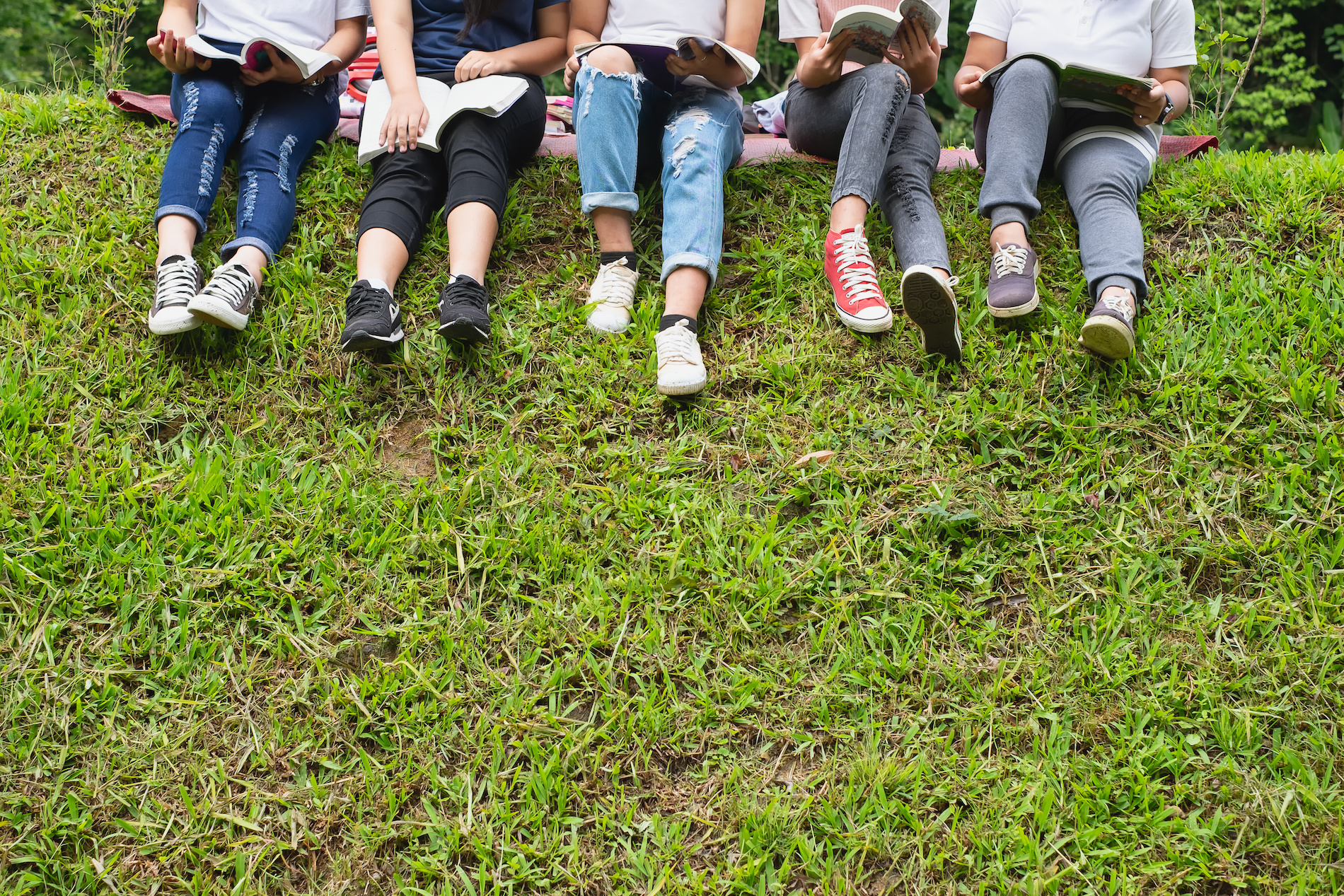 Group of students sitting on the grass