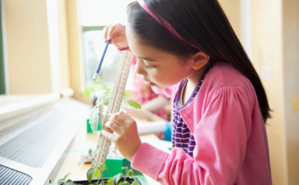 Young female student measuring plant