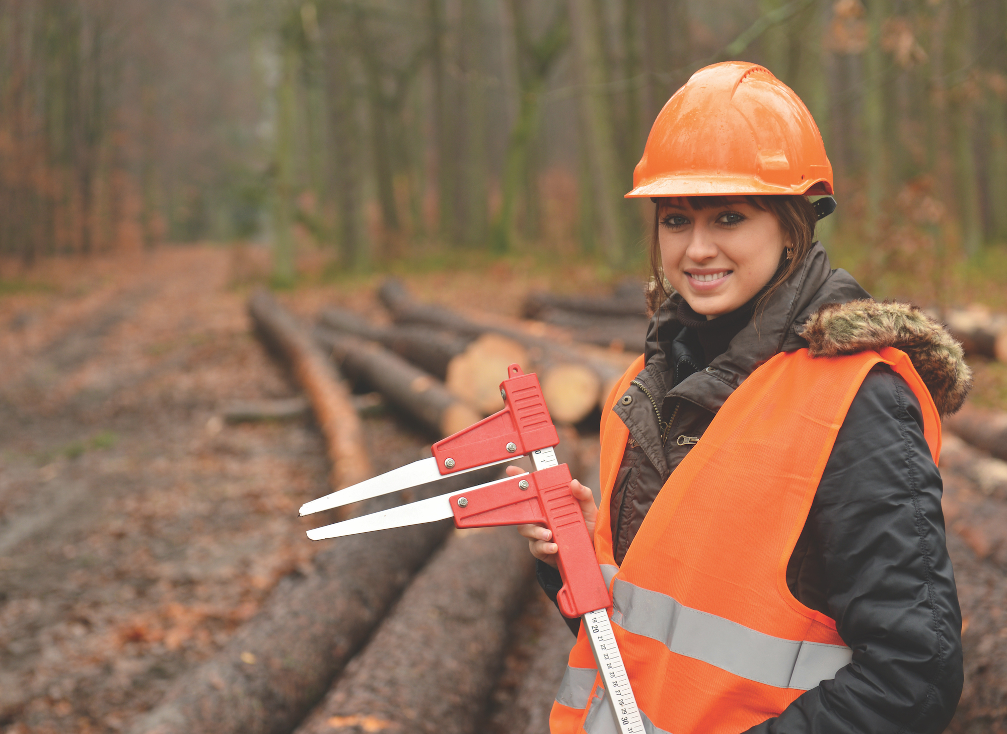 Young female forestry engineer at work